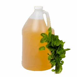 Titelseite -Scholl Fusspflege Verkäufe 1 Gallon Peppermint Leaf Sm TMB