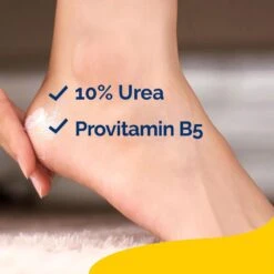 Scholl Intensiv Regenerierende Fusscreme mit 10% Urea 75ml - Für sehr trockene und Rissige Haut -Scholl Fusspflege Verkäufe scholl de care scholl intensiv regenerierende fusscreme mit 10 urea 75ml fur sehr trockene und rissige haut 33415522287785