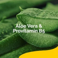 Scholl Regenerierender Fussbalsam 75ml - Für sehr trockene und Raue Haut 10 Scholl Regenerierender Fussbalsam 75ml - Für sehr trockene und Raue Haut -Scholl Fusspflege Verkäufe scholl de care scholl regenerierender fussbalsam 75ml fur sehr trockene und raue haut 33327000191145