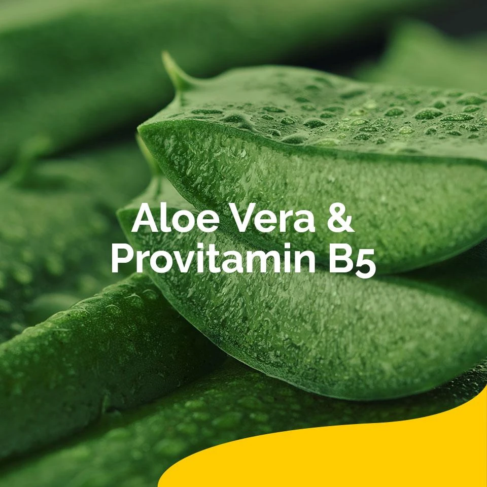 Scholl Regenerierender Fussbalsam 75ml - Für sehr trockene und Raue Haut 4 Scholl Regenerierender Fussbalsam 75ml - Für sehr trockene und Raue Haut – Bild 4