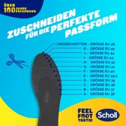 Scholl Frische Einlegesohlen -Scholl Fusspflege Verkäufe scholl de insoles 35 5 40 5 scholl frische einlegesohlen 55051446583637
