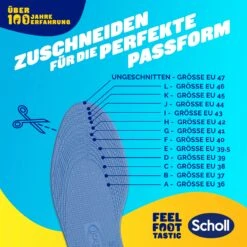 Scholl Stoßdämpfende Einlegesohlen -Scholl Fusspflege Verkäufe scholl de insoles 35 5 40 5 scholl stossdampfende einlegesohlen 55051427840341